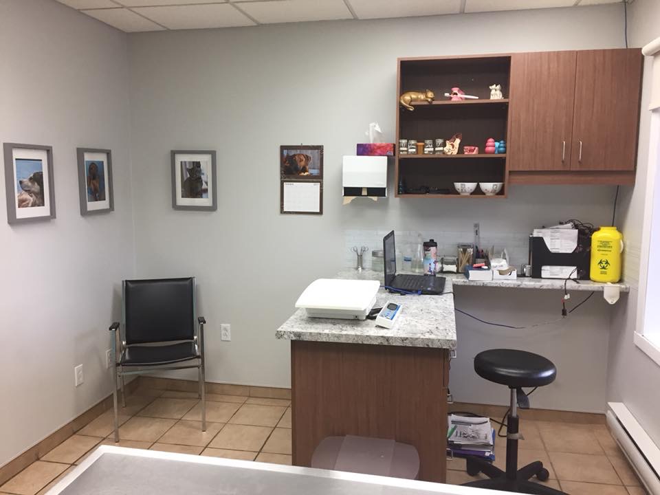 Méliblack Veterinary Clinic | 333 Rue St Joseph, La Tuque, QC G9X 1L3, Canada | Phone: (819) 523-2303