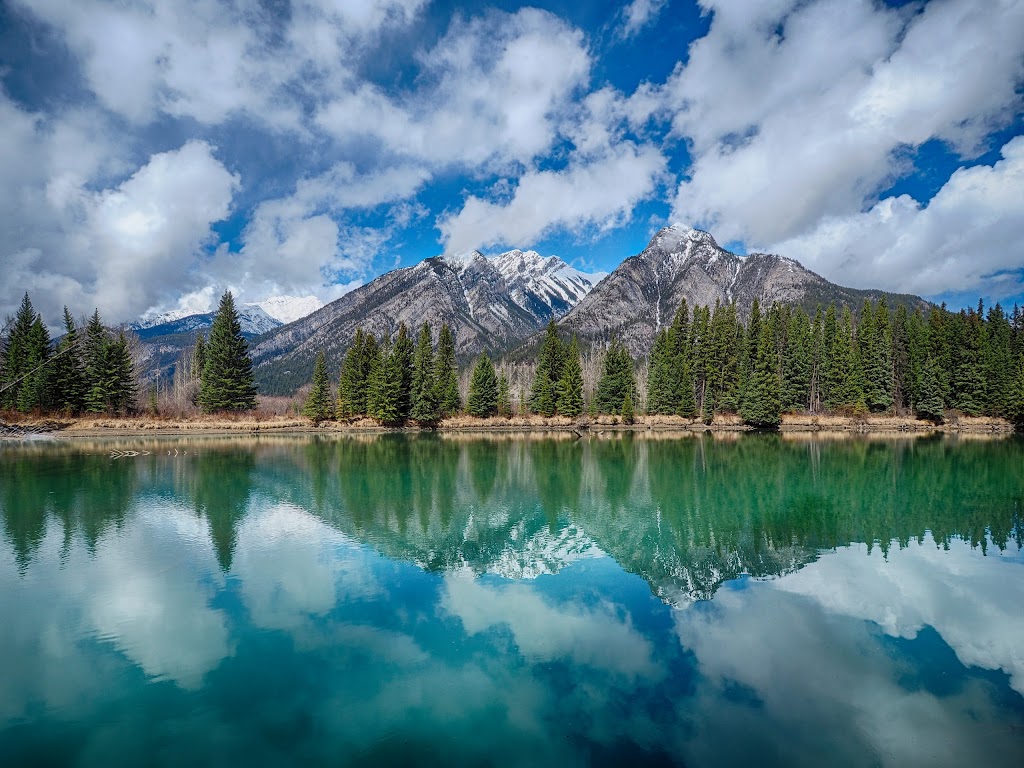 Banff Trail Riders - Stables | 100 Sundance Rd, Banff, AB T1L 1B9, Canada | Phone: (403) 762-4551