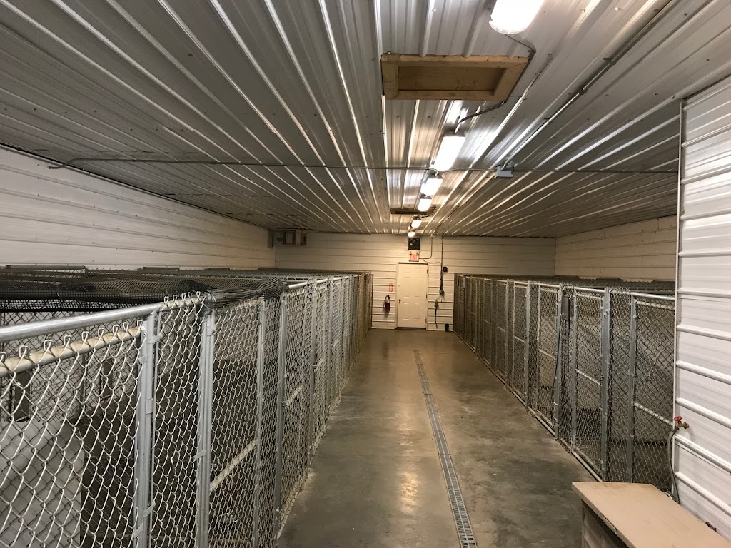 Kilwinning Kennels | 51063 Range Rd 224, Sherwood Park, AB T8C 1H1, Canada | Phone: (780) 996-4523