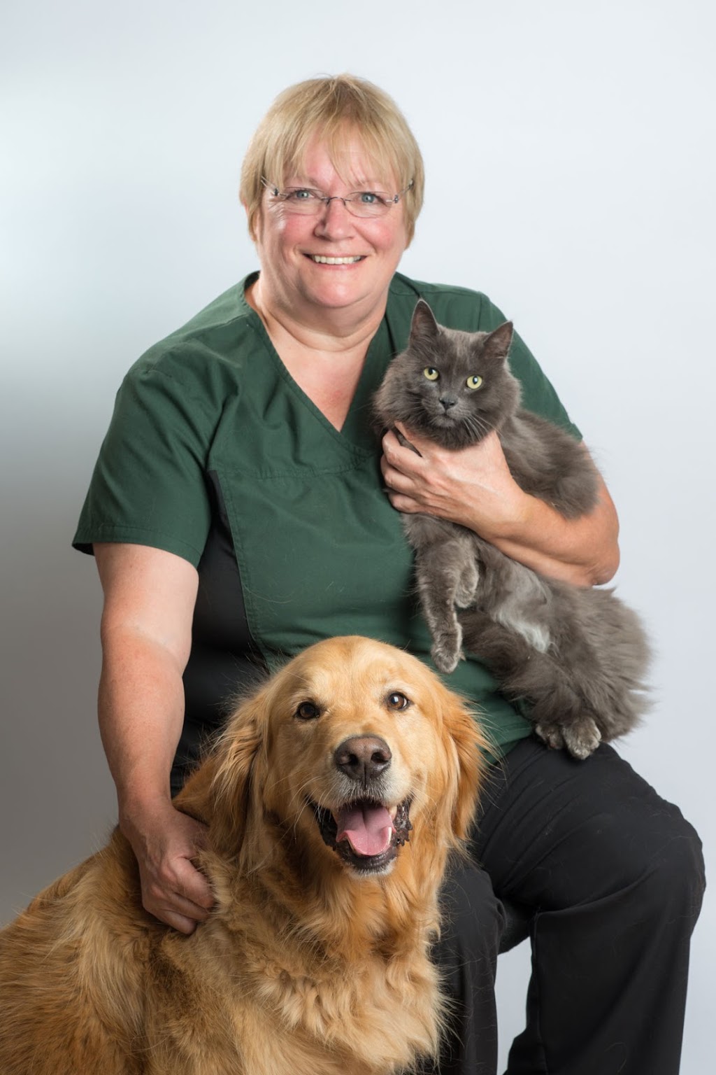 Brantford Veterinary Clinic | 277 King George Rd, Brantford, ON N3R 5L1, Canada | Phone: (519) 756-2390