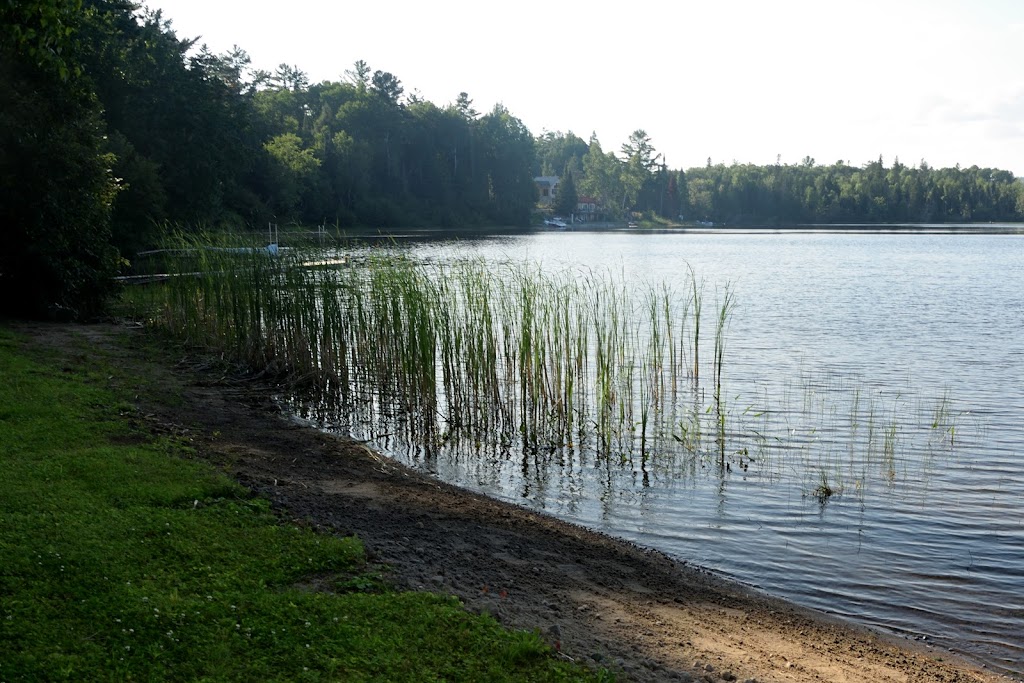 Cathedral Under the Pines | 25 Chapel Rd, Barrys Bay, ON K0J 1B0, Canada | Phone: (613) 756-2933