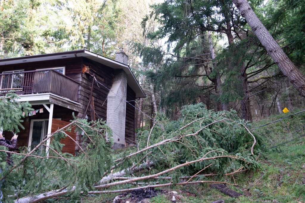 Mid Island Tree Service | 2202 Akenhead Rd, Nanaimo, BC V9X 1T9, Canada | Phone: (250) 735-2917