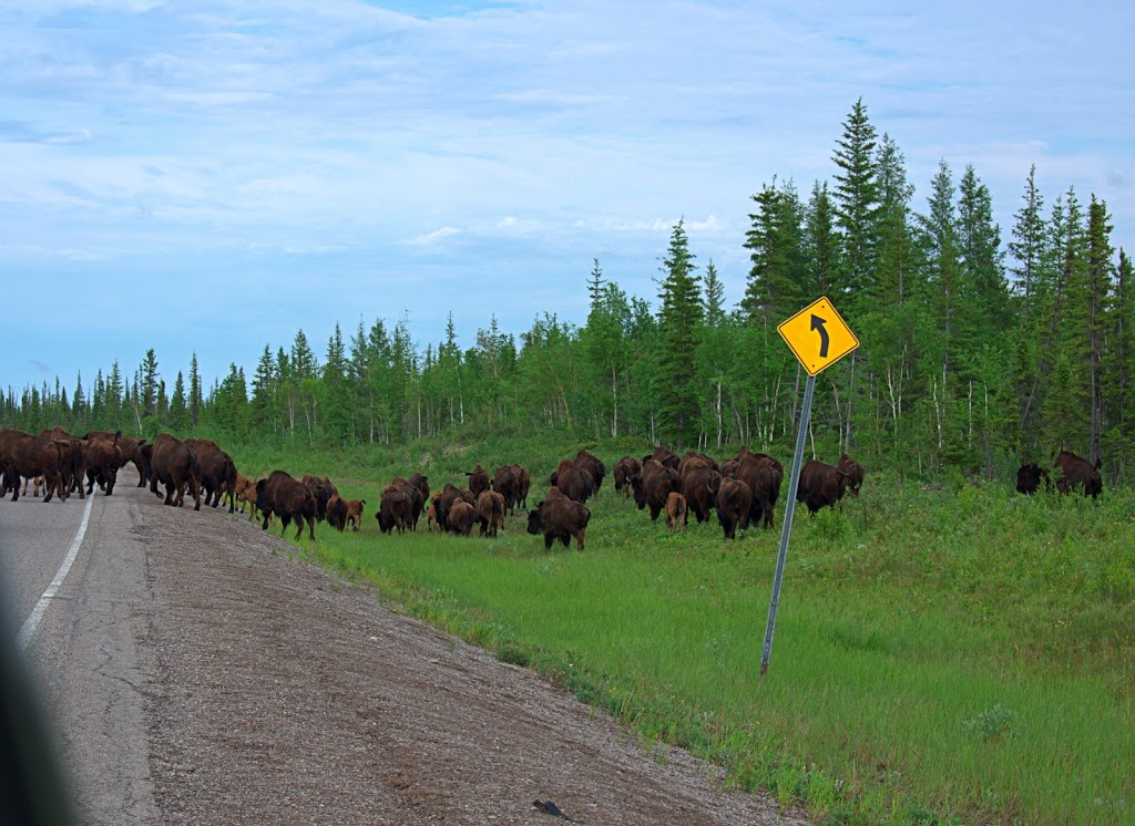 Bison Transport | 80 Liberty Rd, Sherwood Park, AB T8H 2J6, Canada | Phone: (800) 801-8898