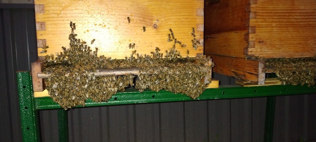 Meijerinks Bee Farm | 501 Main St W, Grimsby, ON L3M 1T4, Canada | Phone: (905) 945-1364