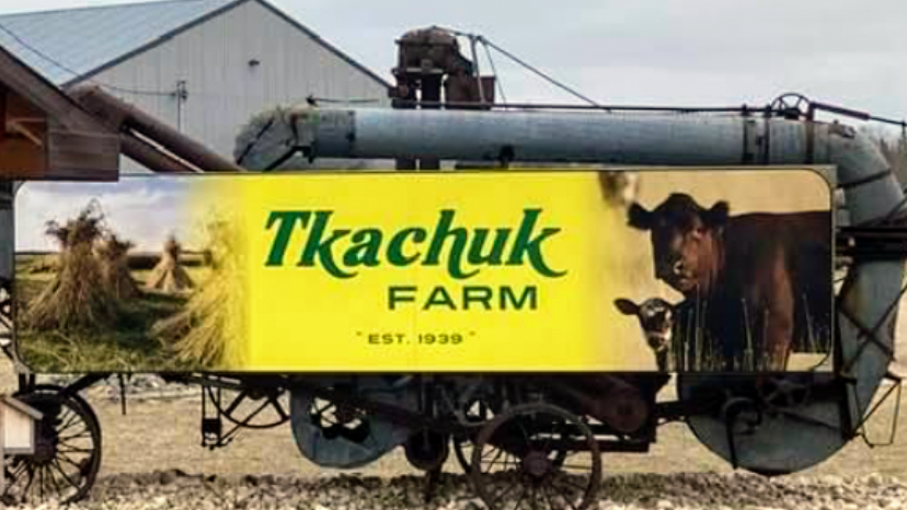 Tkachuk Farm | MB-201, Menisino, MB R0A 1A0, Canada | Phone: (204) 423-2319