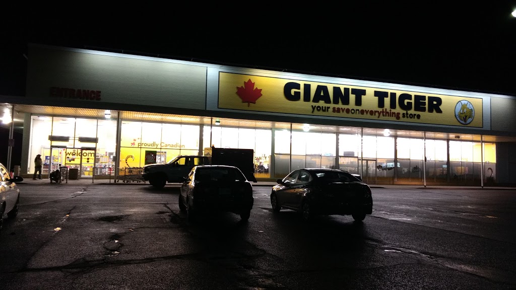 Giant Tiger | 200 Fitch St, Welland, ON L3C 2V9, Canada | Phone: (905) 735-0963