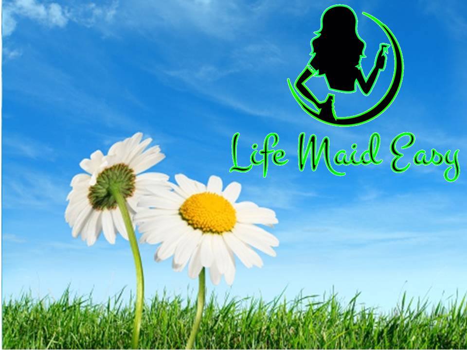 Life Maid Easy | 68 Dekker St, Everett, ON L0M 1J0, Canada | Phone: (705) 717-3115