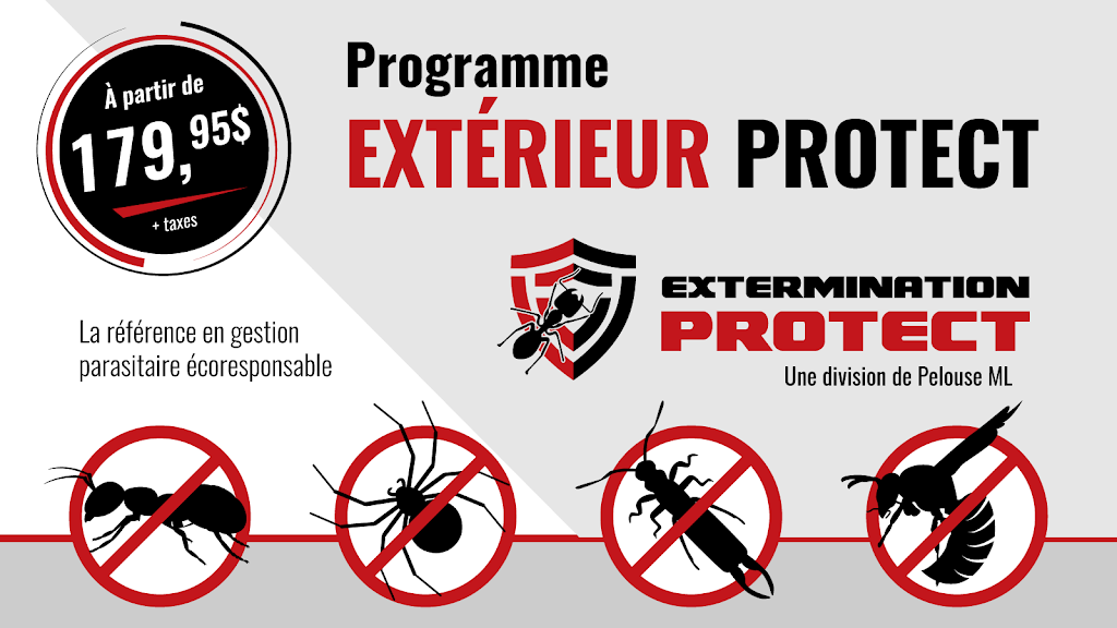 Extermination Protect | 3274 Rue des Églantiers, Québec, QC G1G 1Y6, Canada | Phone: (418) 628-8307