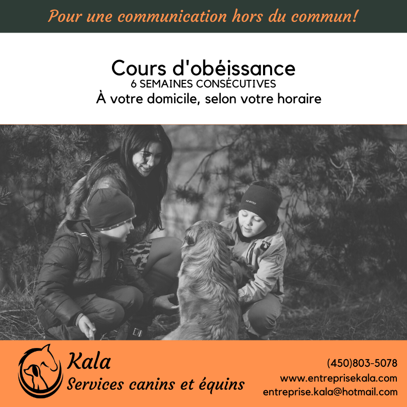 Kala, Services Canins et Équins - Éducation et Dressage- Laval | 368 Rue de Villandraut, Laval, QC H7K 3R2, Canada | Phone: (450) 803-5078