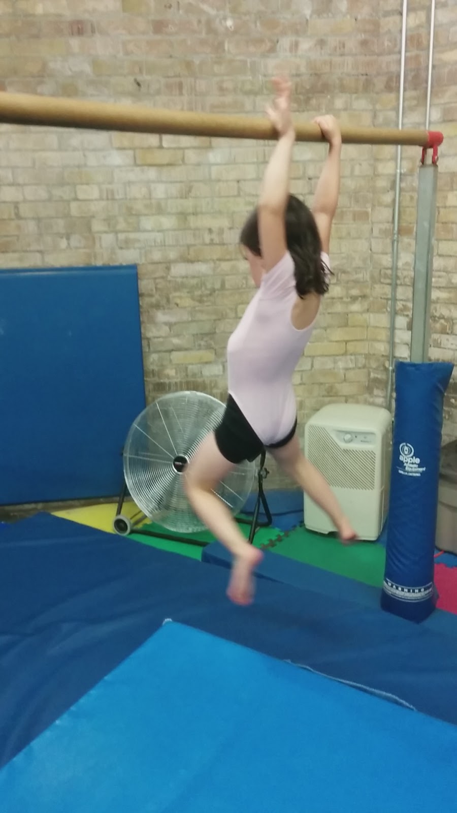 Toronto Premier Gymnastics | 115 Simpson Ave, Toronto, ON M4K 1A1, Canada | Phone: (416) 461-8998