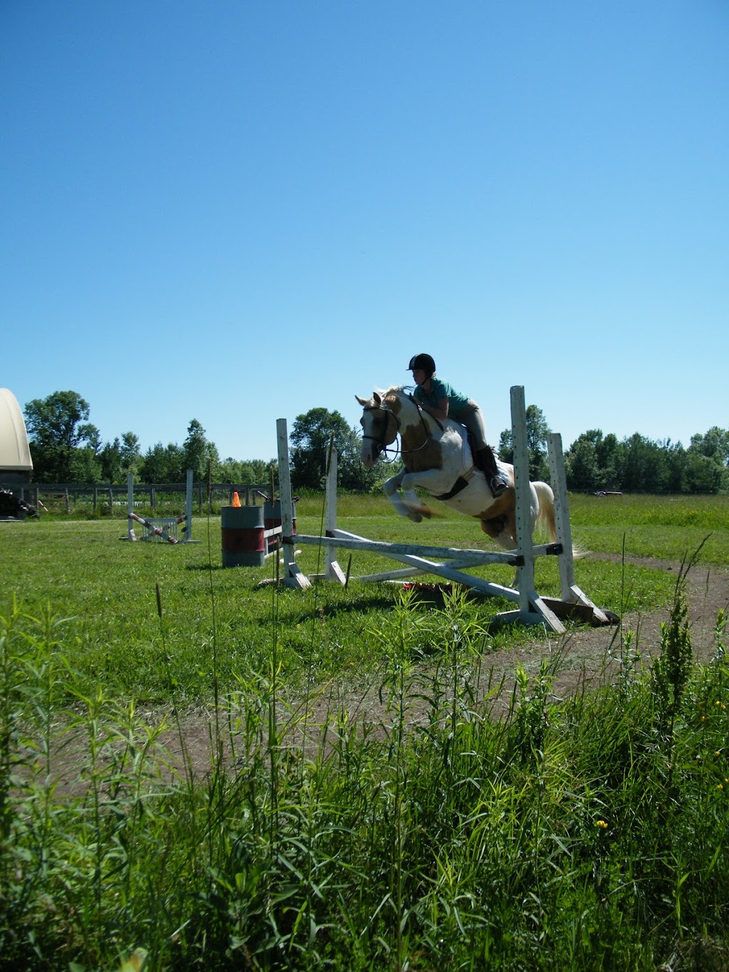 Aspen Acres Farms | Rathfon Rd, Port Colborne, ON L3K 5V4, Canada | Phone: (289) 686-2516