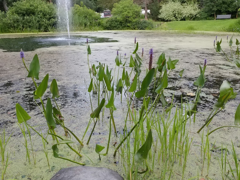 Parc Camille-Rouillard | Valcourt, QC J0E 2L0, Canada