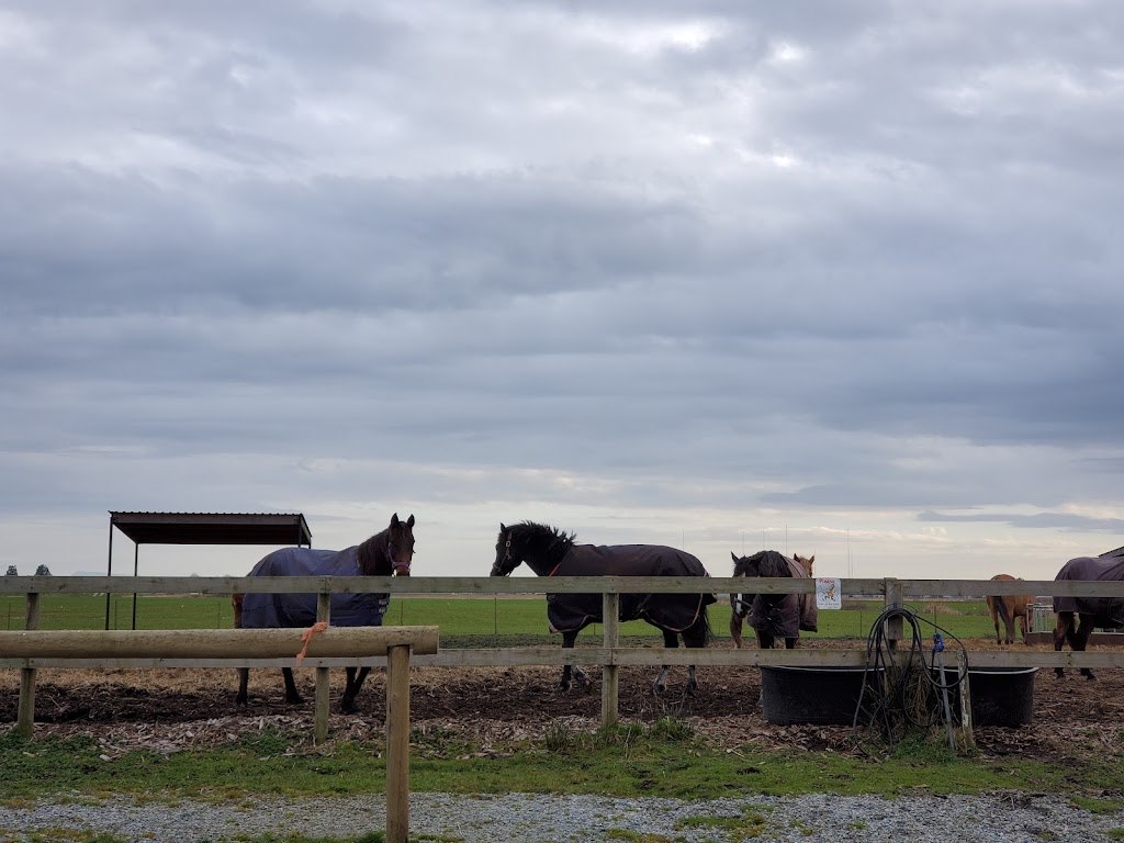 Sleepy Hollow Stables | 10706 59 Ave, Delta, BC V4K 3N3, Canada | Phone: (604) 802-2645