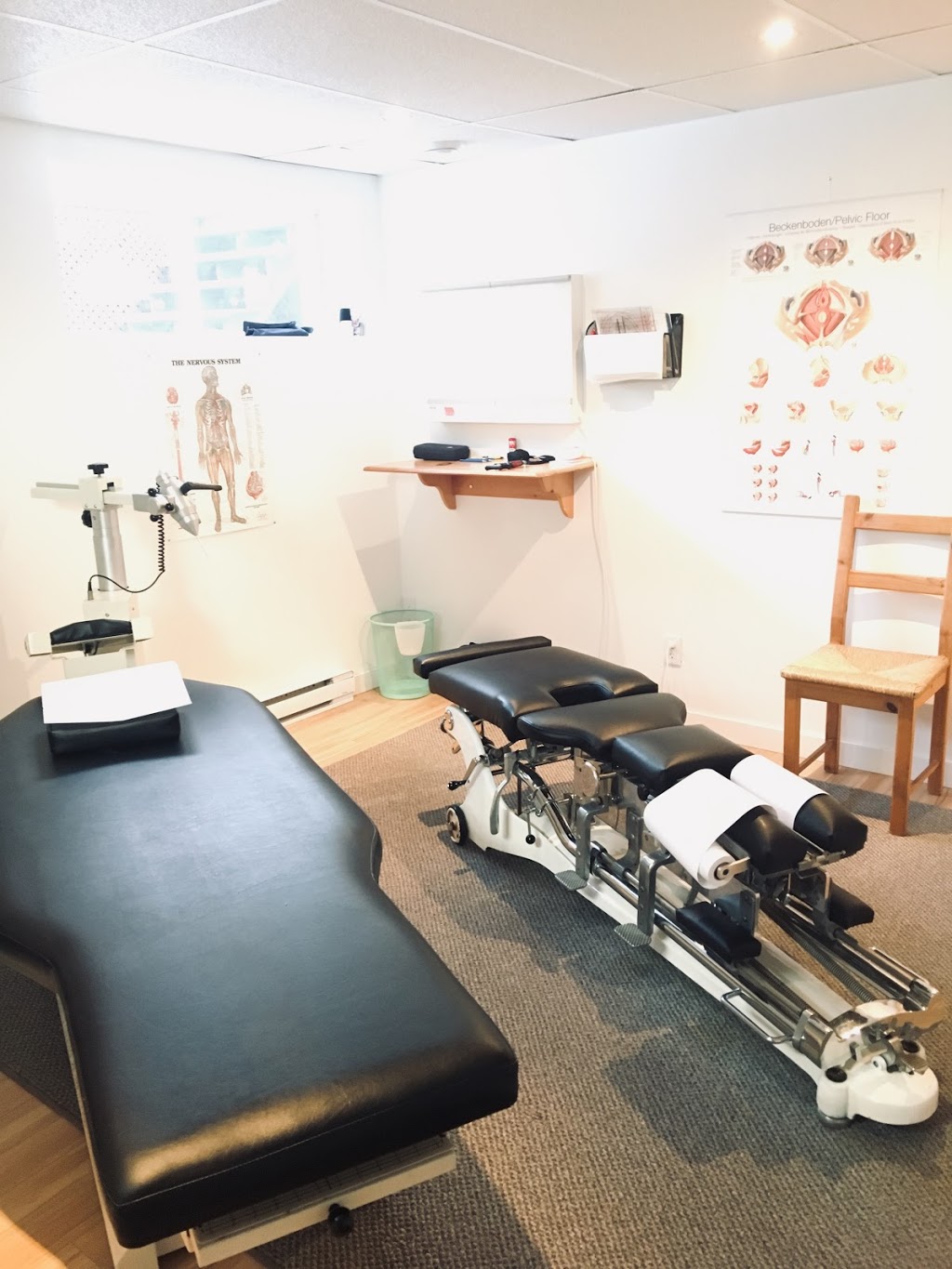 Clinique chiropratique Dre Catherine Duhamel, Chiropraticienne | 31 Rue des Grives, Saint-Basile-le-Grand, QC J3N 1L1, Canada | Phone: (450) 653-7998