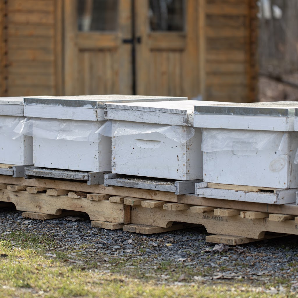 Bee Farm Brigham | 239 Chemin Hallé O, Brigham, QC J2K 4J7, Canada | Phone: (514) 463-5547