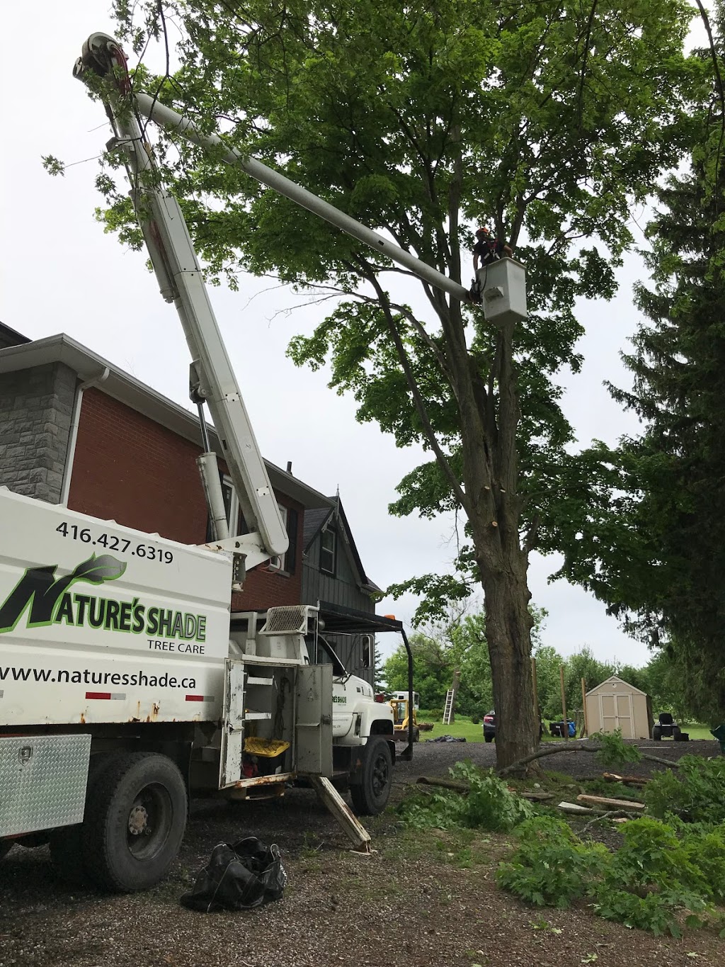 Natures Shade Tree Care | 50 Queen St, Schomberg, ON L0G 1T0, Canada | Phone: (416) 427-6319