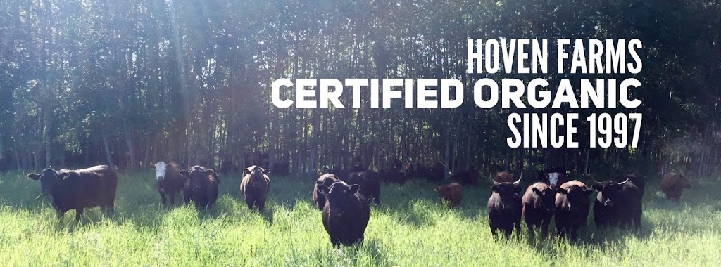 Hoven Farms Grass Finished Organic Beef | RR3, Eckville, AB T0M 0X0, Canada | Phone: (403) 302-2748