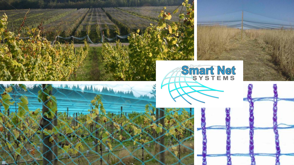 Smart Net Systems | 388 Lazo Rd, Comox, BC V9M 3T9, Canada | Phone: (250) 890-0841