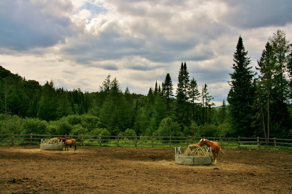 Centre d’activités nature Kanatha-Aki Traîneau à Chiens Équitati | 11 Chemin du Lac de lOrignal, Val-des-Lacs, QC J0T 2P0, Canada | Phone: (819) 321-1890