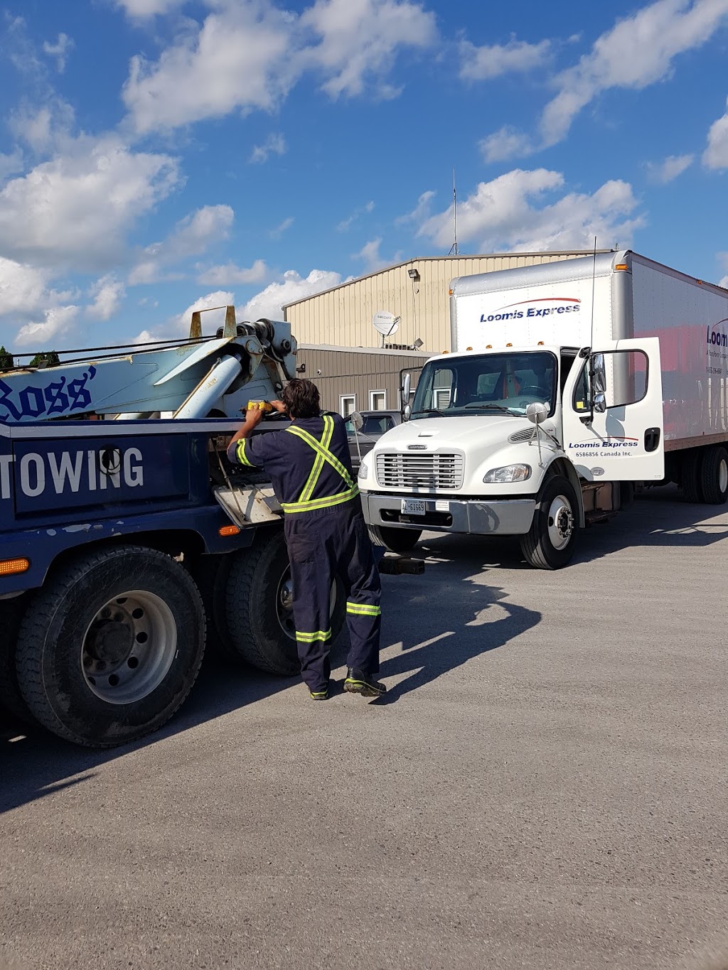 Trailwood Transport | 3378 Putnam Rd, Putnam, ON N0L 2B0, Canada | Phone: (519) 269-9613