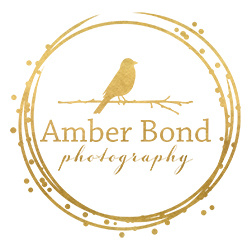 Amber Bond Photography | 17 Rondeau Pl, Kanata, ON K2M 2Y3, Canada | Phone: (613) 981-7548
