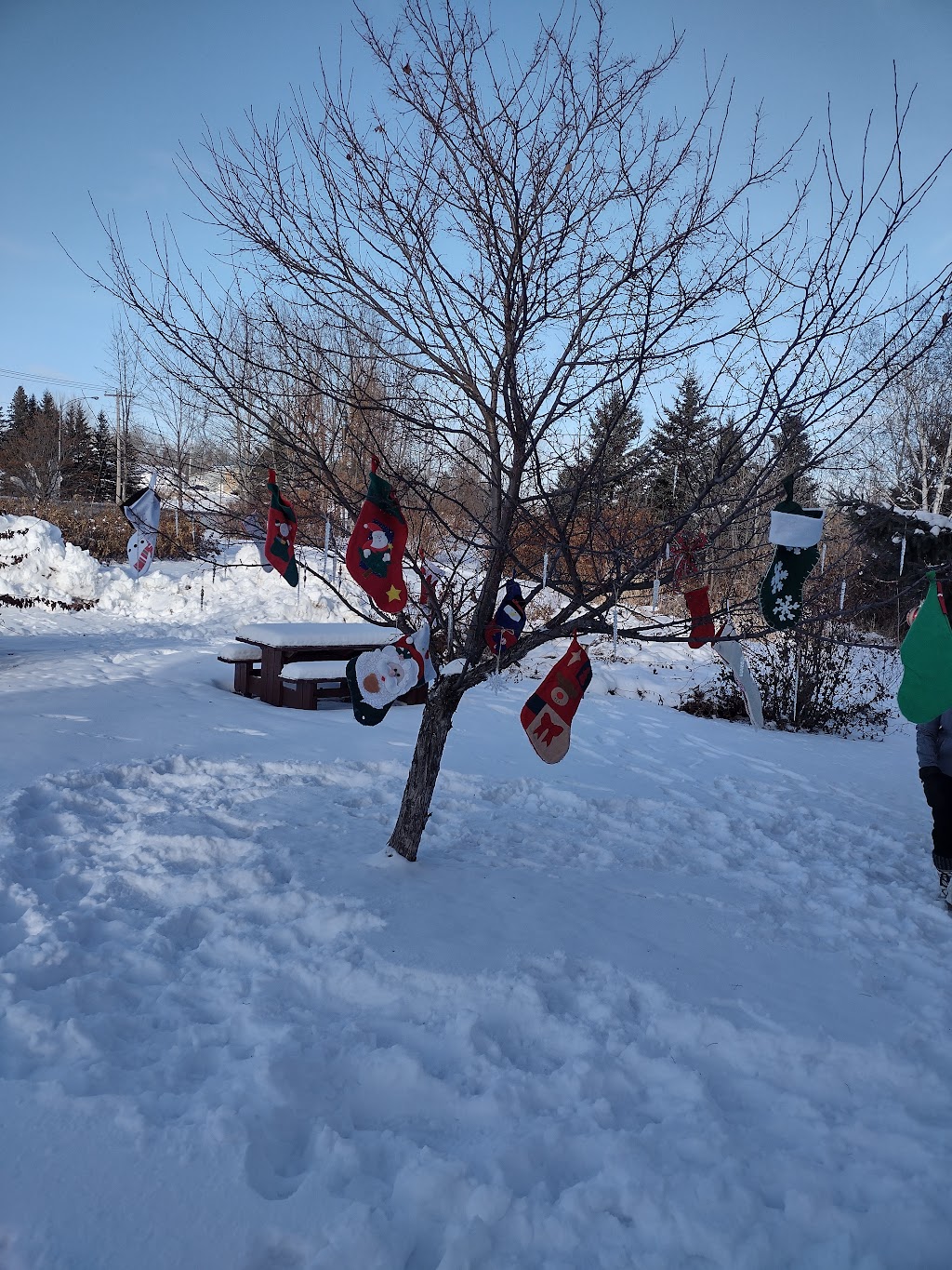 SGE | Société de Gestion Environnementale | 1332 Rue des Cyprès, Dolbeau-Mistassini, QC G8L 1A4, Canada | Phone: (418) 276-6502