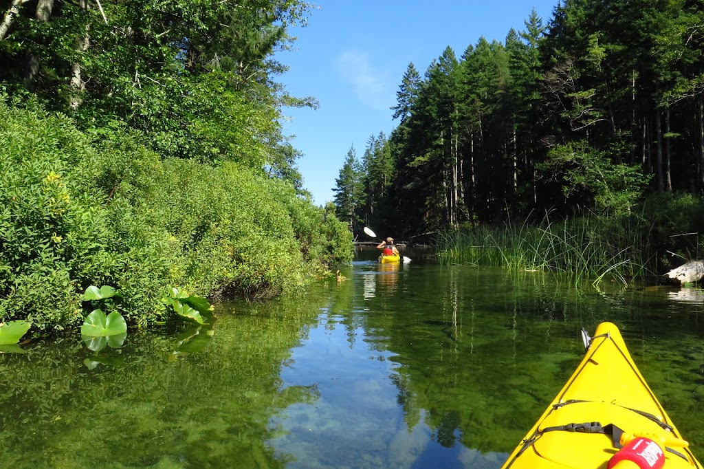 Main Lake Provincial Park | Surge Narrows, BC V0P 1W0, Canada | Phone: (250) 308-4479