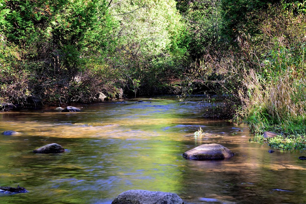 Wawanosh Valley Conservation Education Centre | 38854 Nature Centre, Blyth, ON N0M 1H0, Canada | Phone: (519) 523-4788