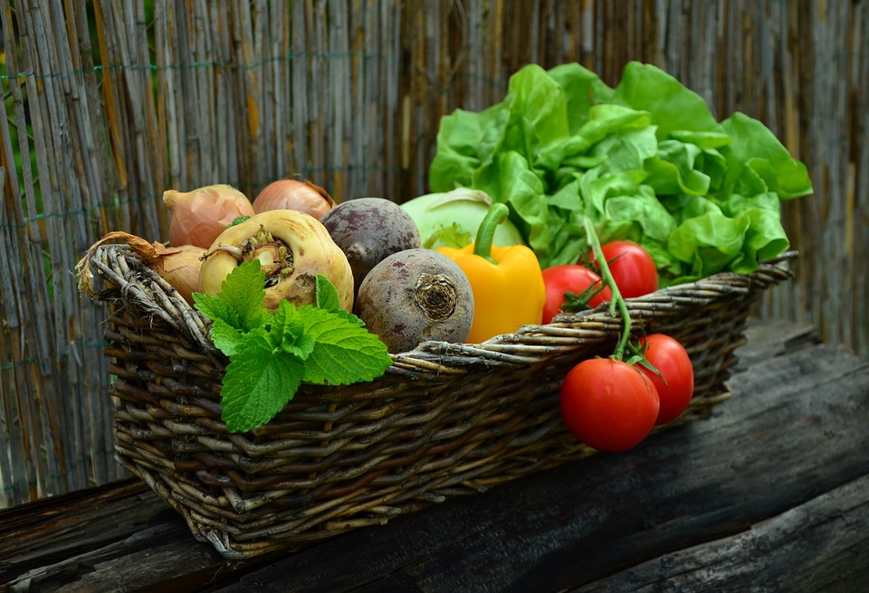 Mon panier Bio aux jardins dIrisa | 330 Rang des Forges, Saint-Félix-de-Valois, QC J0K 2M0, Canada | Phone: (450) 889-8680