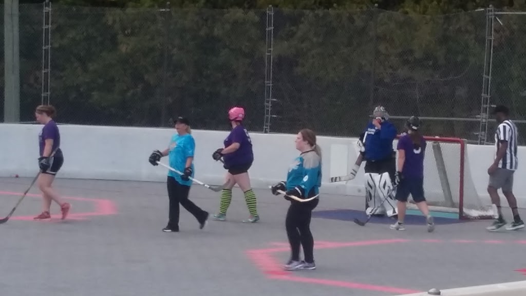 Orillia Ball Hockey League | 995 Memorial Ave, Warminster, ON L0K 2G0, Canada | Phone: (705) 326-6599