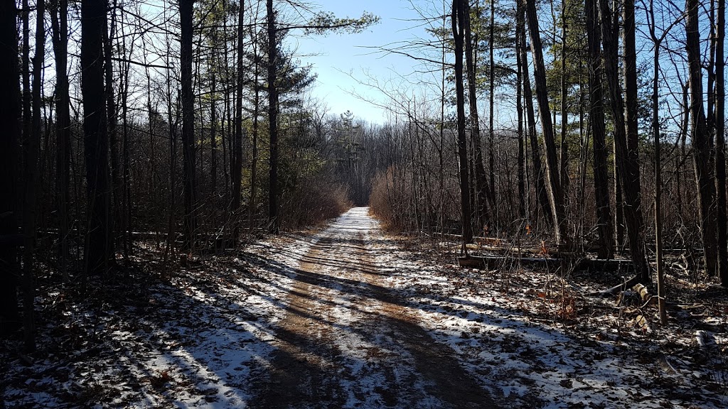 Halton regional forest-Britton Tract | 10331-10601 Sixth Line Nassagaweya, Milton, ON L9T 2X7, Canada