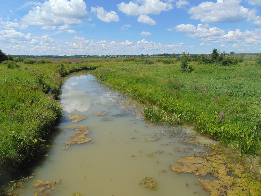 Parc national de Plaisance, secteur Thurso | Sentier des Outaouais, Thurso, QC J0X 3B0, Canada | Phone: (819) 427-5334