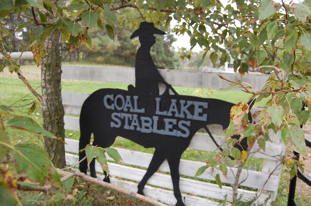 Coal Lake Stables | 48167, Range Rd 235, Millet, AB T0C 1Z0, Canada | Phone: (780) 387-1889