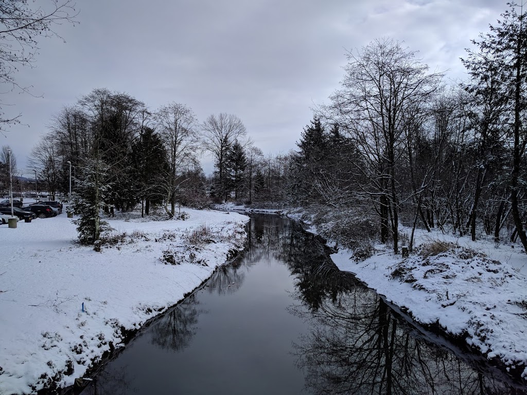 Still Creek | Still Creek trail, Burnaby, BC V5C 6C6, Canada