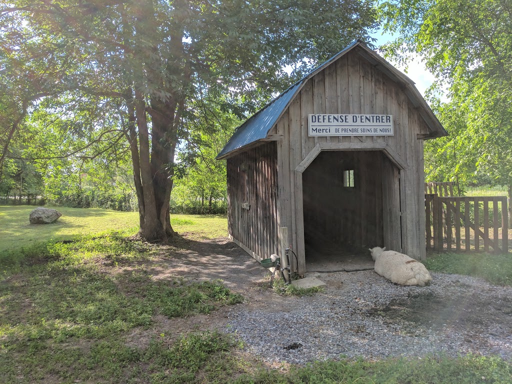 Camping Aqua Parc St-Pie | 286 Chemin de Saint-Dominique, Saint-Pie, QC J0H 1W0, Canada | Phone: (450) 772-2614