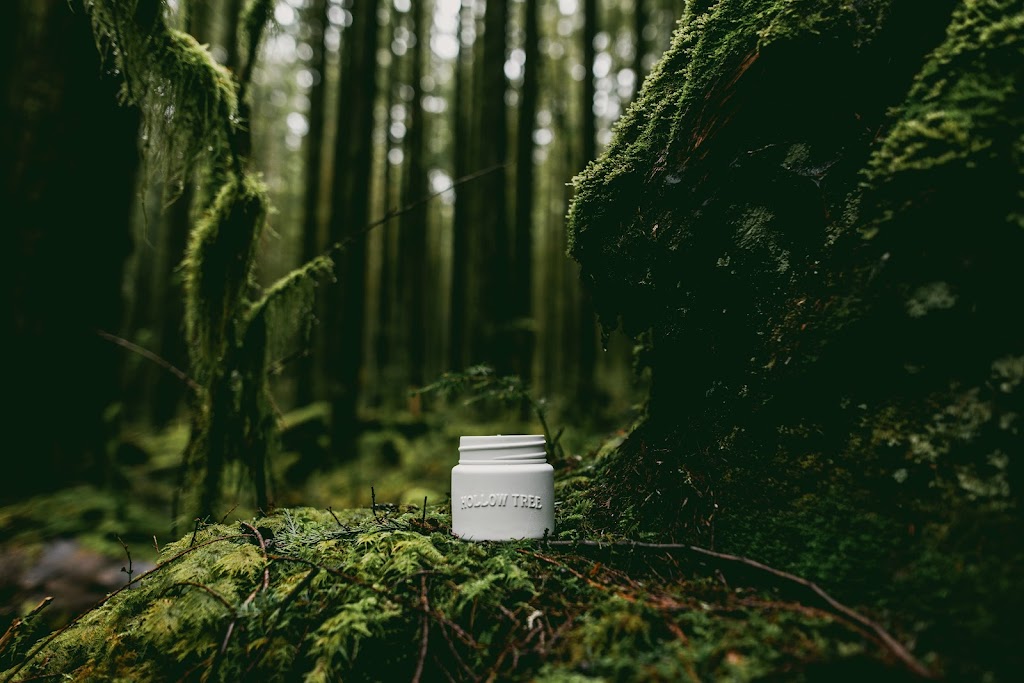 Hollow Tree Candle | 1005 Alpha Lake Rd, Whistler, BC V0N 1B0, Canada | Phone: (604) 902-0696