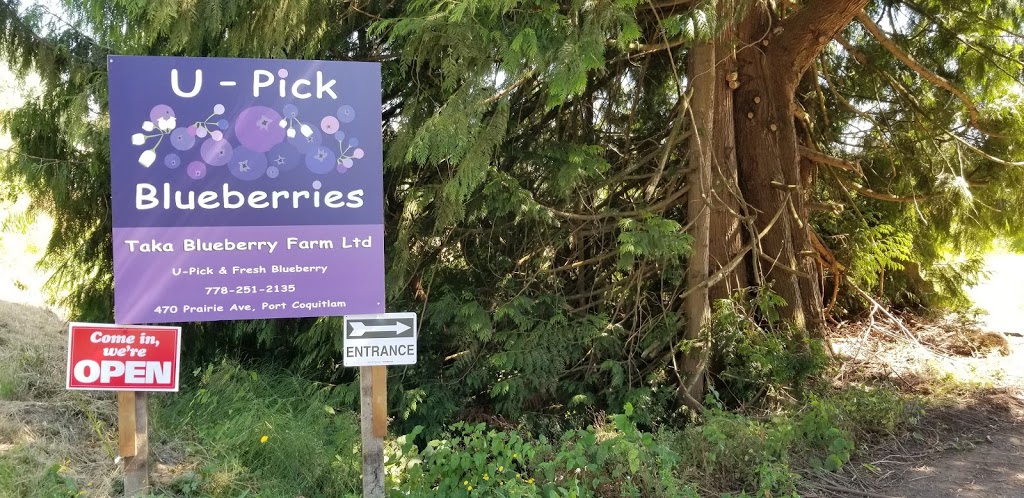 Taka Blueberry Farm Ltd | 470 Prairie Ave, Port Coquitlam, BC V3E 0A6, Canada | Phone: (778) 251-2135