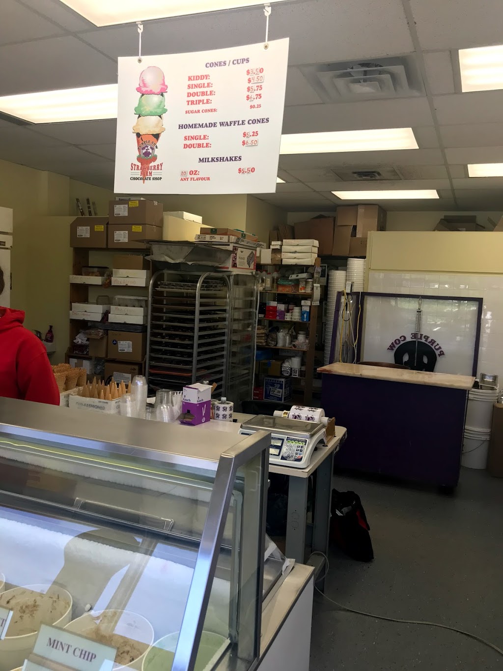 Purple Cow Chocolate And Ice Cream | 111 Colonnade Rd, Nepean, ON K2E 7M3, Canada | Phone: (613) 226-4646