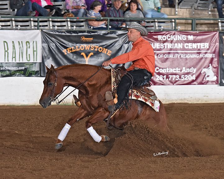 Heule Reining Horses Canada | 1660 Lance Rd, Pritchard, BC V0E 2P0, Canada | Phone: (919) 631-1058