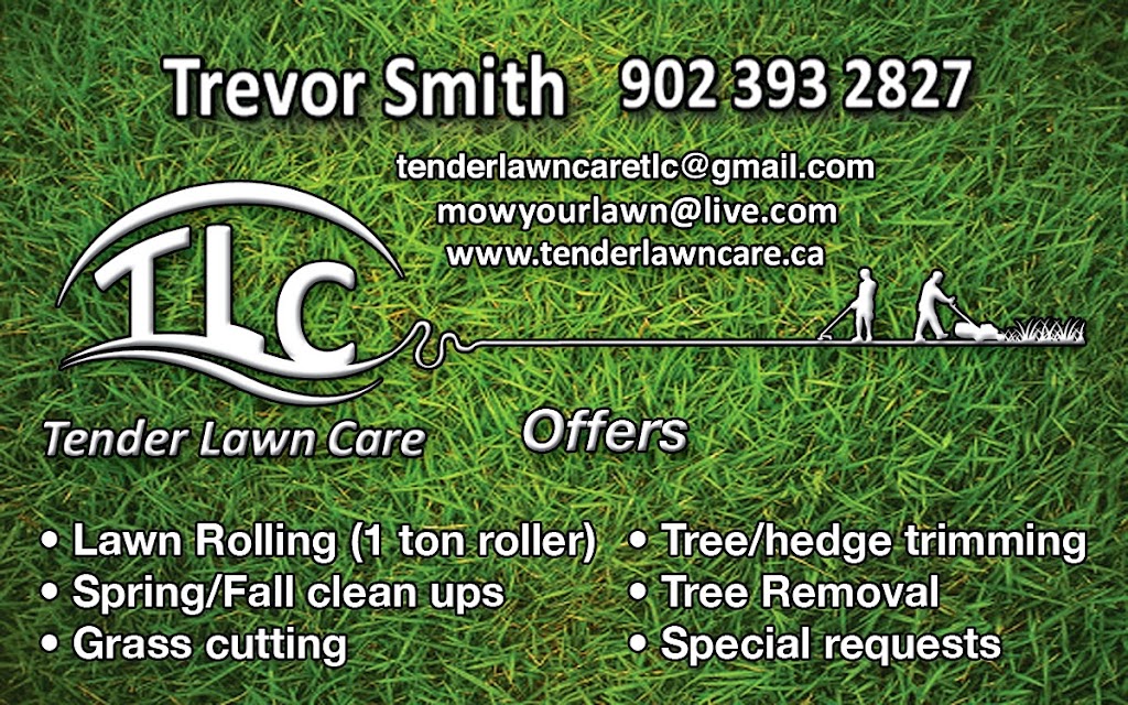 Tender Lawn Care | 3945 Millvale Rd, Breadalbane, PE C0A 1E0, Canada | Phone: (902) 393-2827