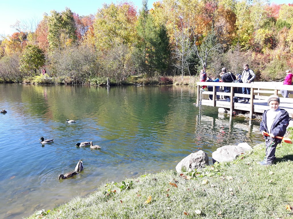 Parc régional de la Rivière-du-Nord (stationnement Prévost) | Chemin du Plein Air, Prévost, QC J5L 2S2, Canada | Phone: (450) 431-1676