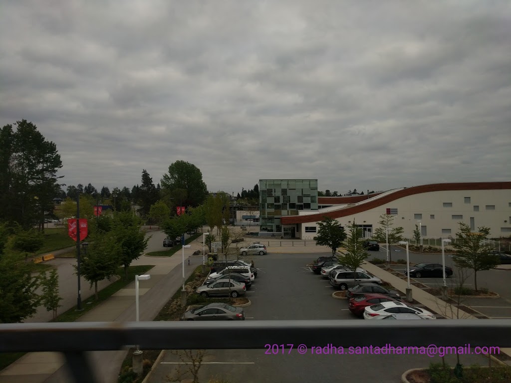 Chuck Bailey Recreation Centre - Lot #1718 | 13458 107 Ave, Surrey, BC V3T 0G4, Canada | Phone: (604) 331-7288