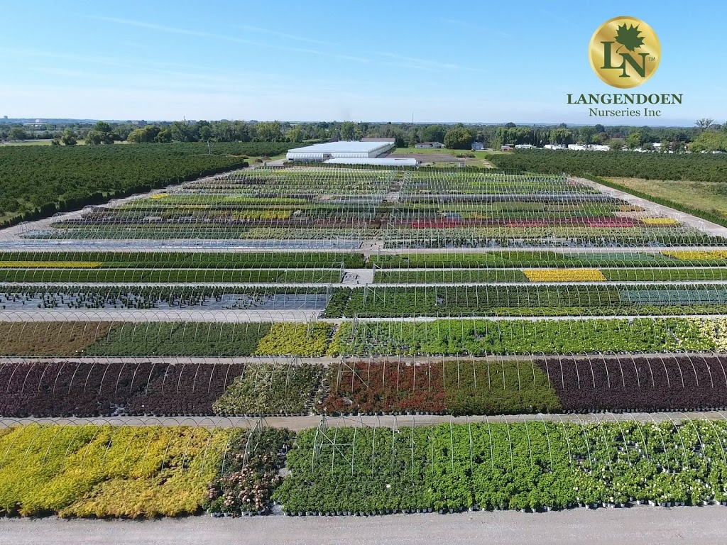 Langendoen Nurseries Inc | 152 Carlton St, Niagara-on-the-Lake, ON L0S 1J0, Canada | Phone: (905) 688-2797