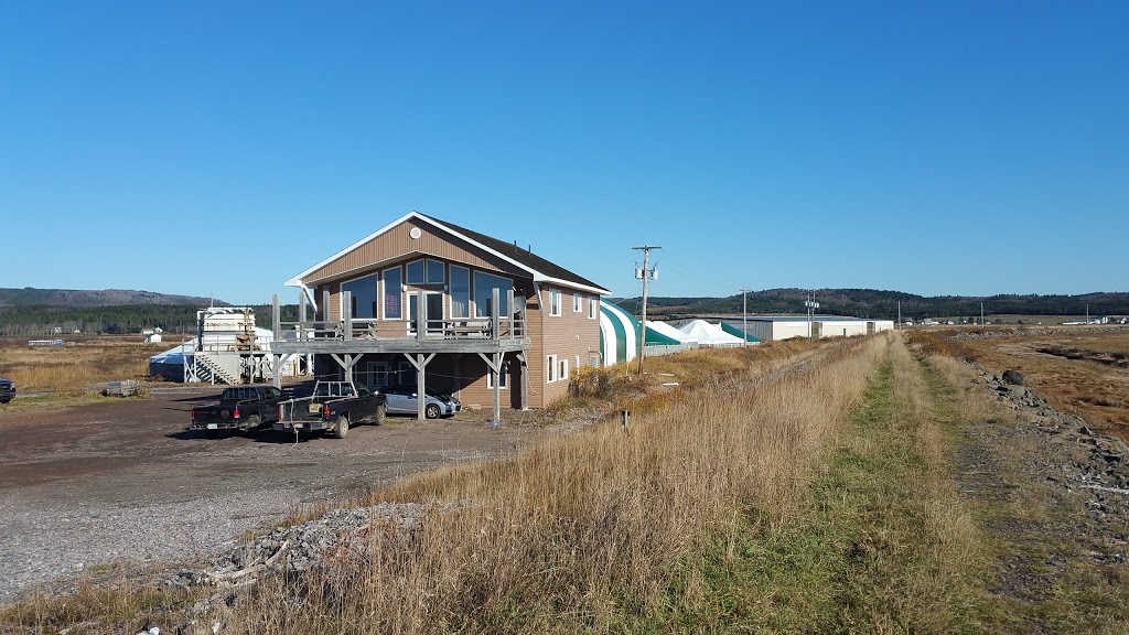 Cape dOr Sustainable Seafoods Inc | 365 Driftwood Ln, Advocate Harbour, NS B0M 1A0, Canada | Phone: (902) 392-2170