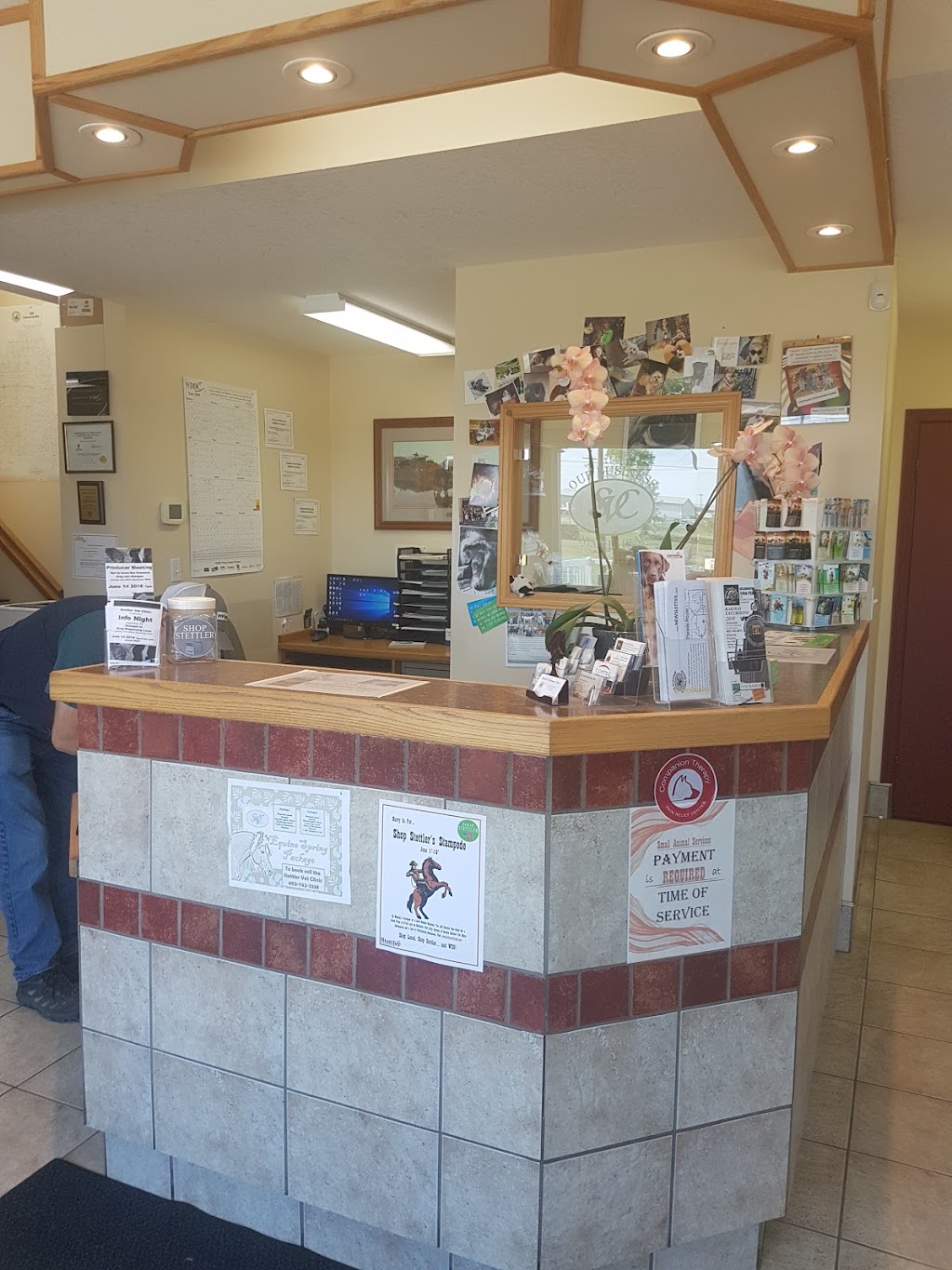 Stettler Veterinary Clinic | 4605 51 Ave, Stettler, AB T0C 2L0, Canada | Phone: (403) 742-3338