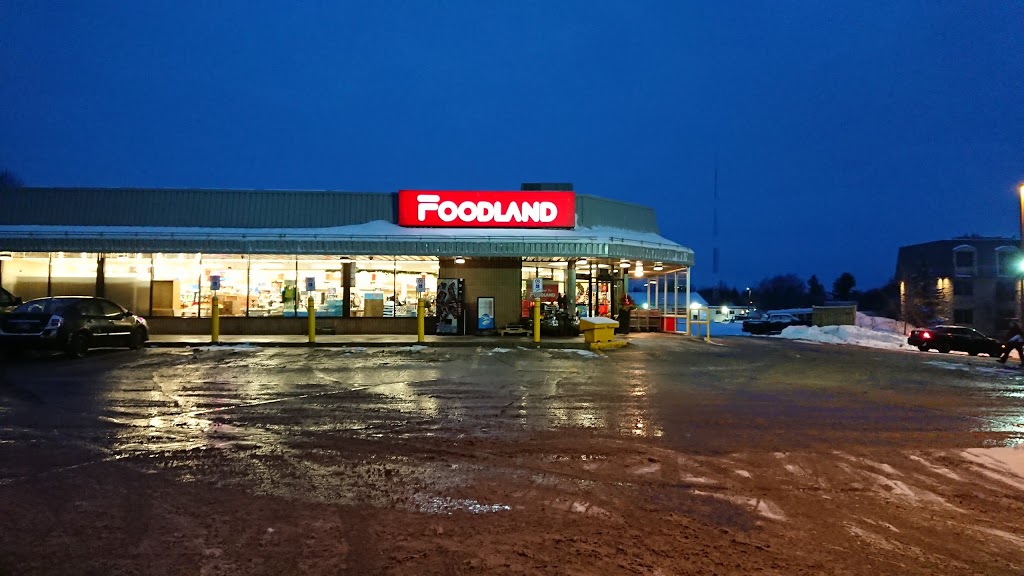 Foodland - Orillia | 80 Fittons Rd E, Orillia, ON L3V 2J4, Canada | Phone: (705) 325-9072