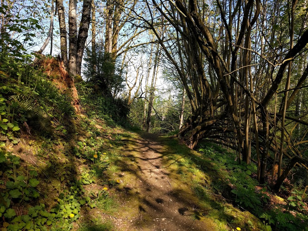 Maclure Park | Discovery Trail, Abbotsford, BC V2T, Canada