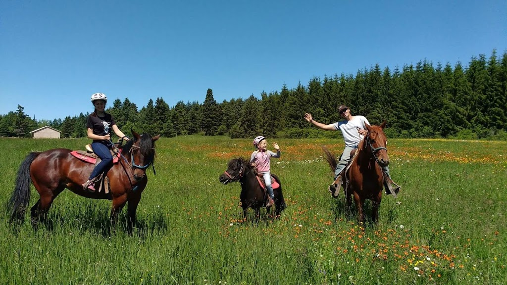 Écurie Le Sabot dOr | 400 10e Rang, Saint-Gédéon, QC G0W 2P0, Canada | Phone: (418) 662-6846