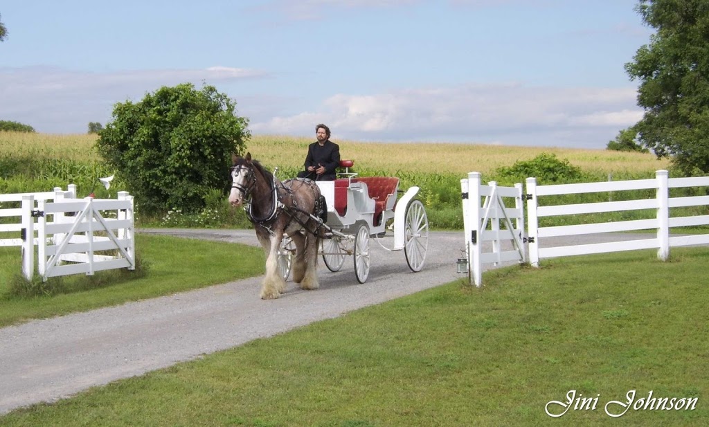 Regal Horse & Carriage | Hwy 95, Wolfe Island, ON K0H 2Y0, Canada | Phone: (613) 876-6130