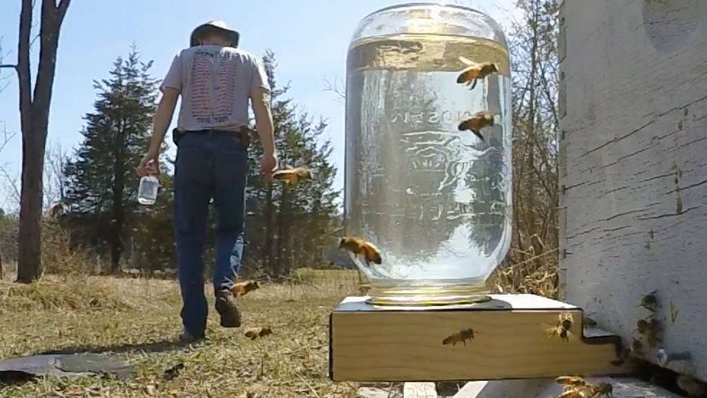 Seldom Fools Apiculture | 80 Country Woods Dr, Harrowsmith, ON K0H 1V0, Canada | Phone: (613) 530-5662